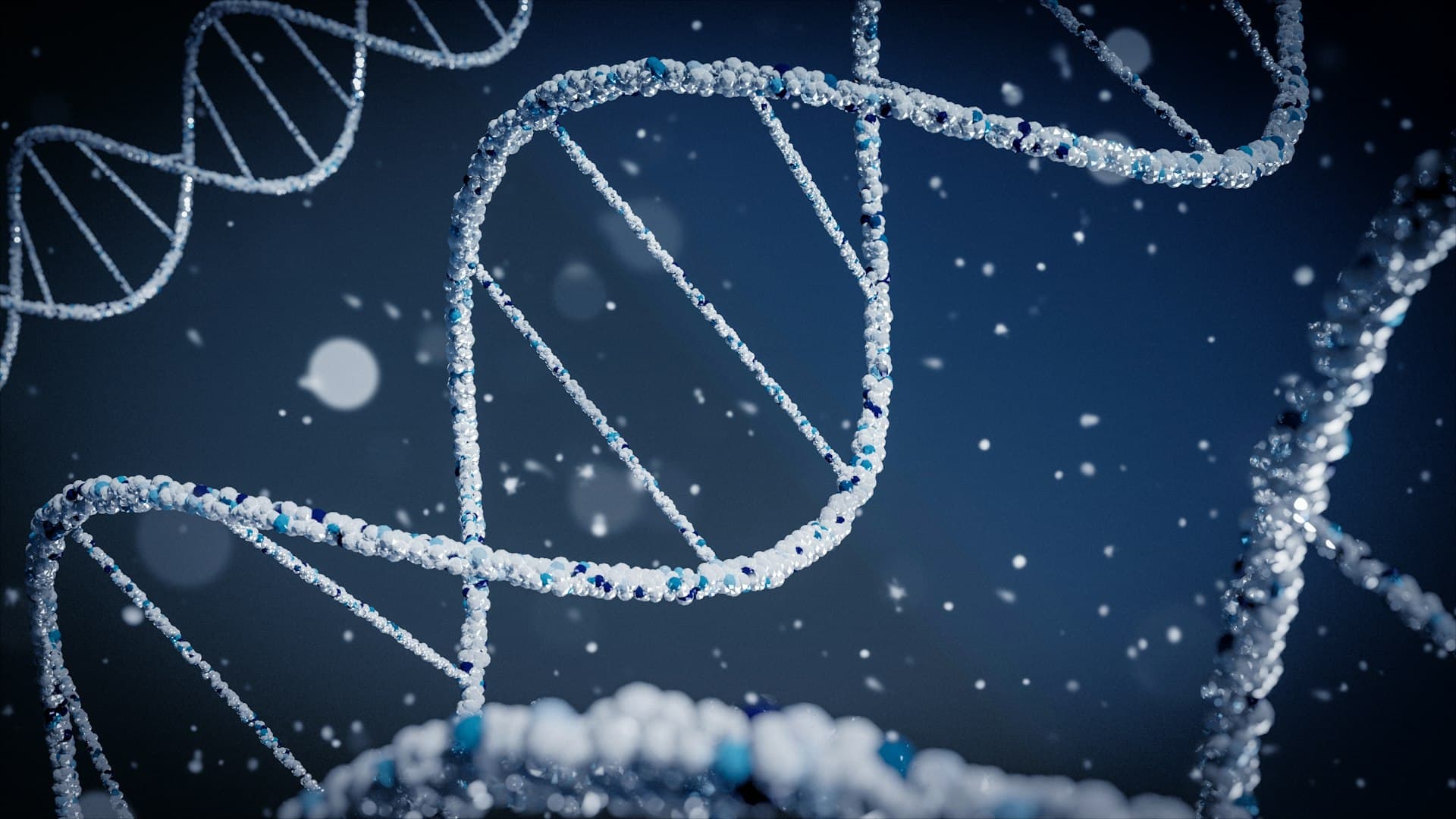DNA helix